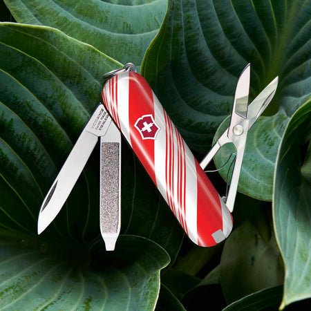 Gifts Exclusively Available at Swiss Knife Shop