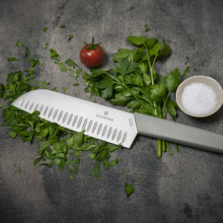 Victorinox Swiss-made Kitchen Knives at Swiss Knife Shop