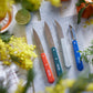 Opinel Essential Small Kitchen Knife 4-Piece Set is a Colorful Collection