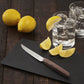 Swiss Modern Wood 2-Piece Steak Knife Set by Victorinox