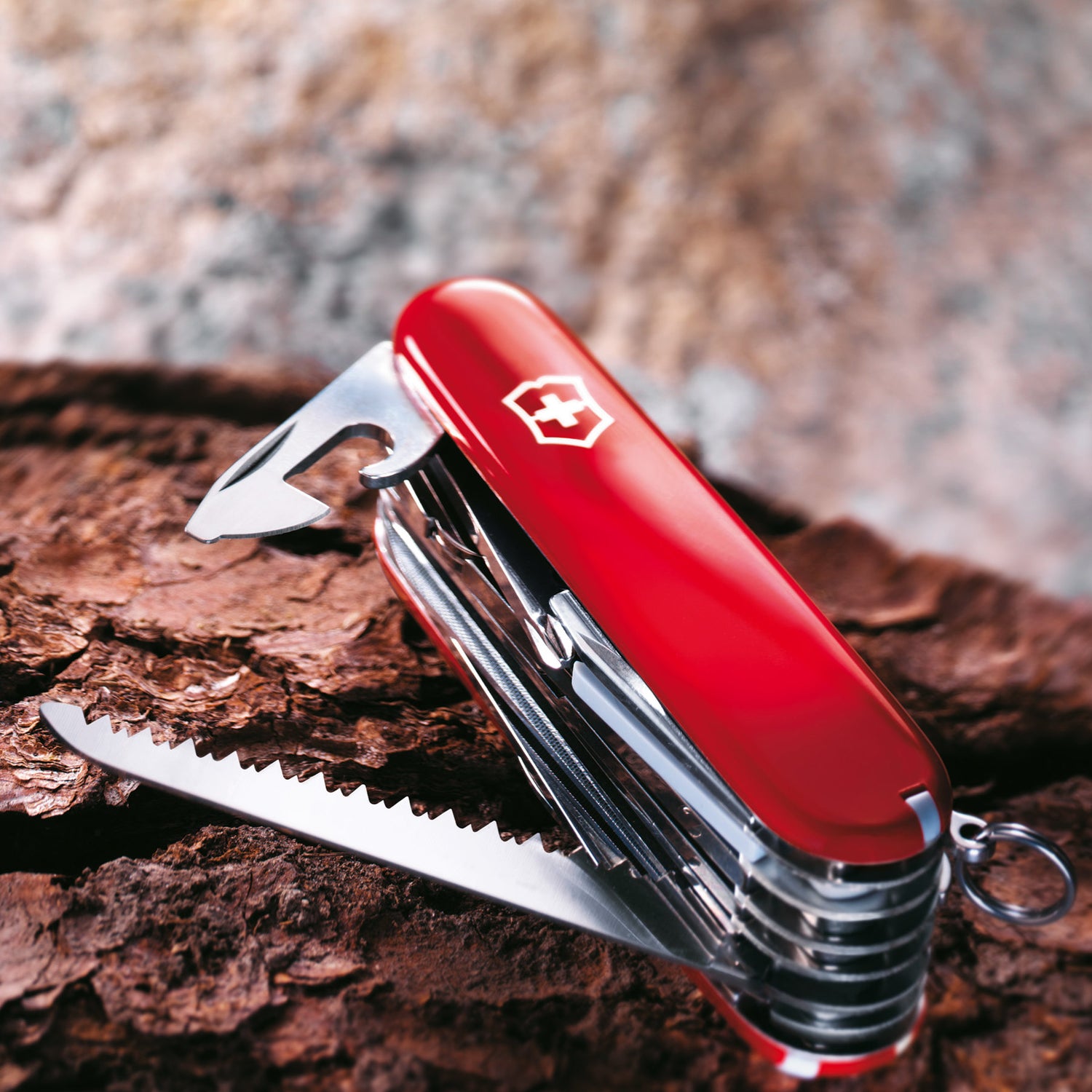 Medium Victorinox Swiss Army Knives at Swiss Knife Shop