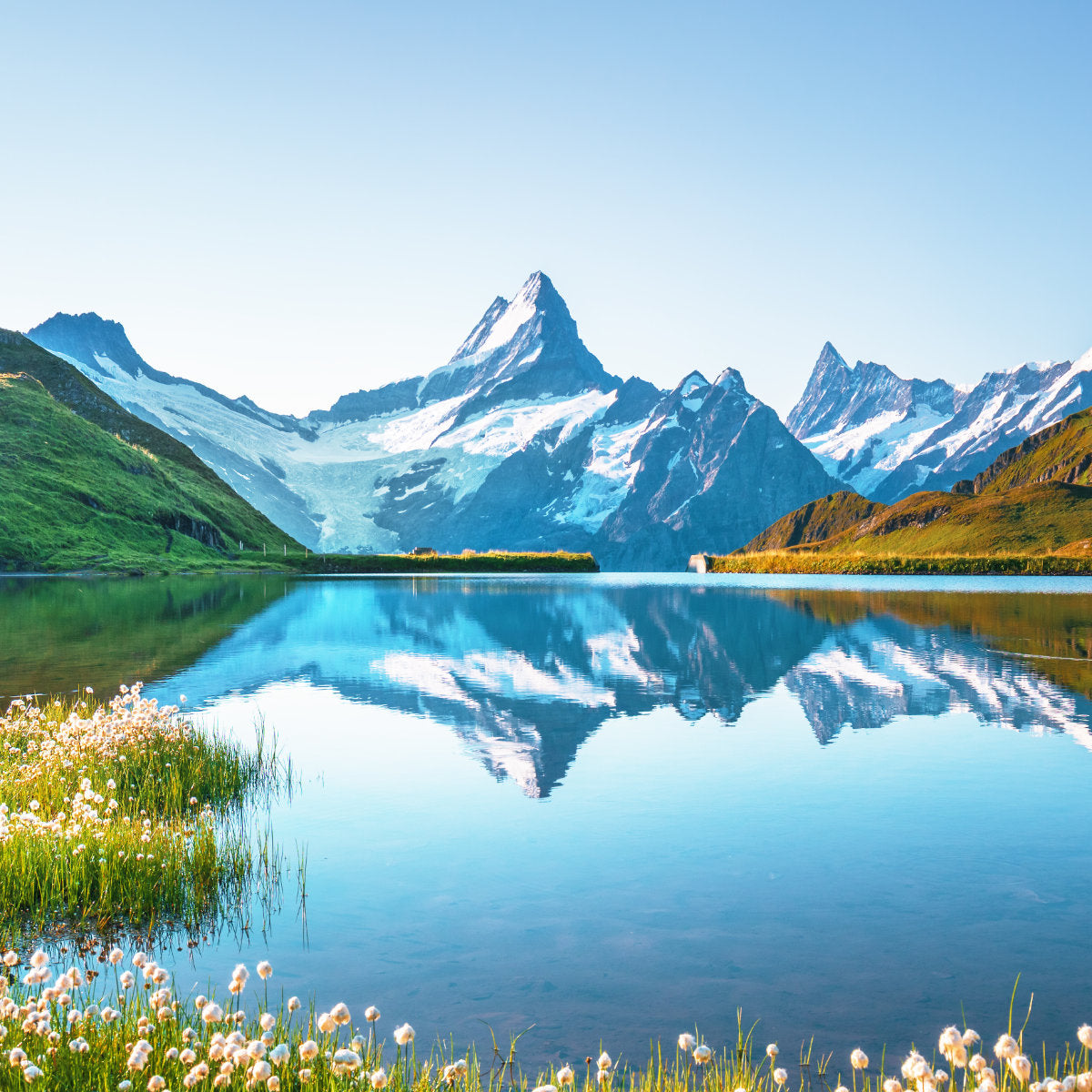 Shop Swiss Knife Shop by Brand