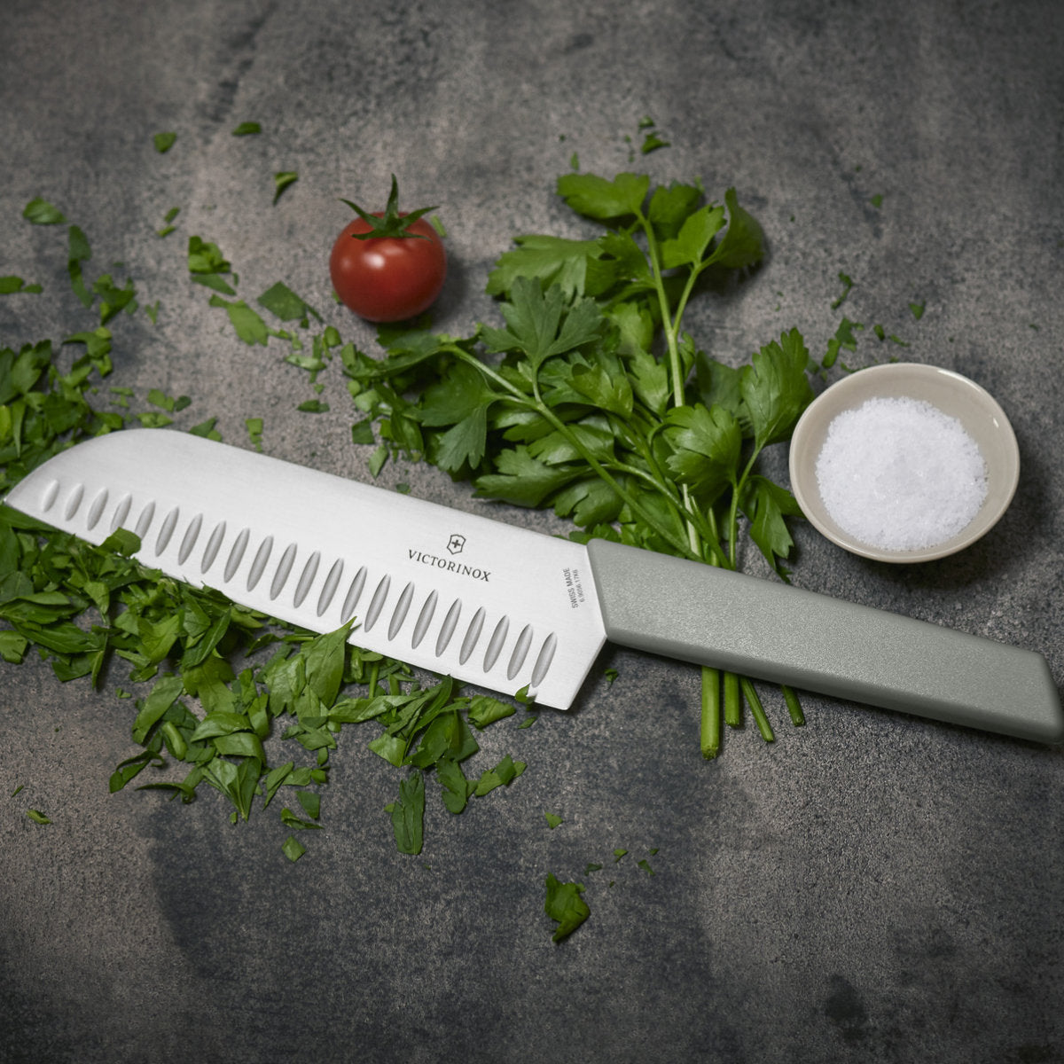 Swiss Modern Kitchen Knives by Victorinox Swiss Army