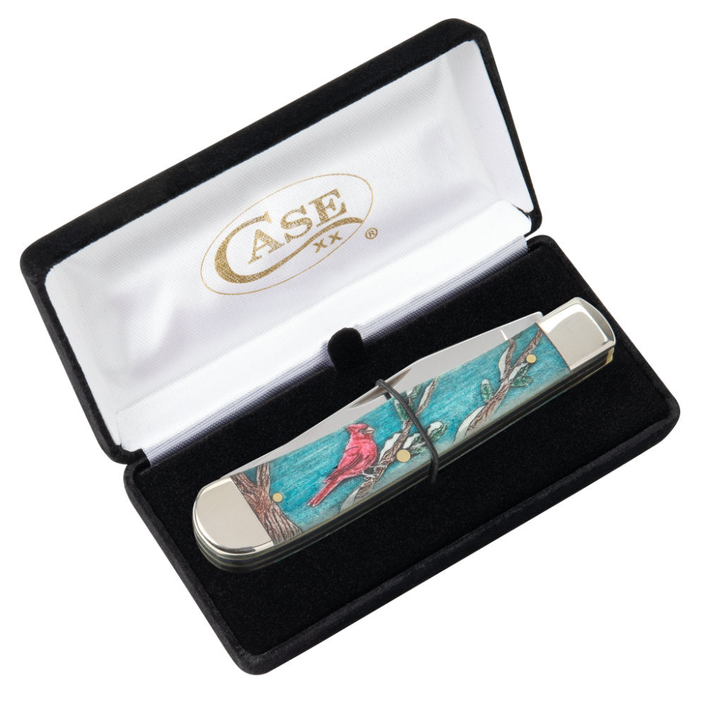 Case Trapper Cardinal Pocket Knife in Velvet Gift Box