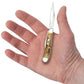 Case Peanut Genuine Stag Pocket Knife in Hand