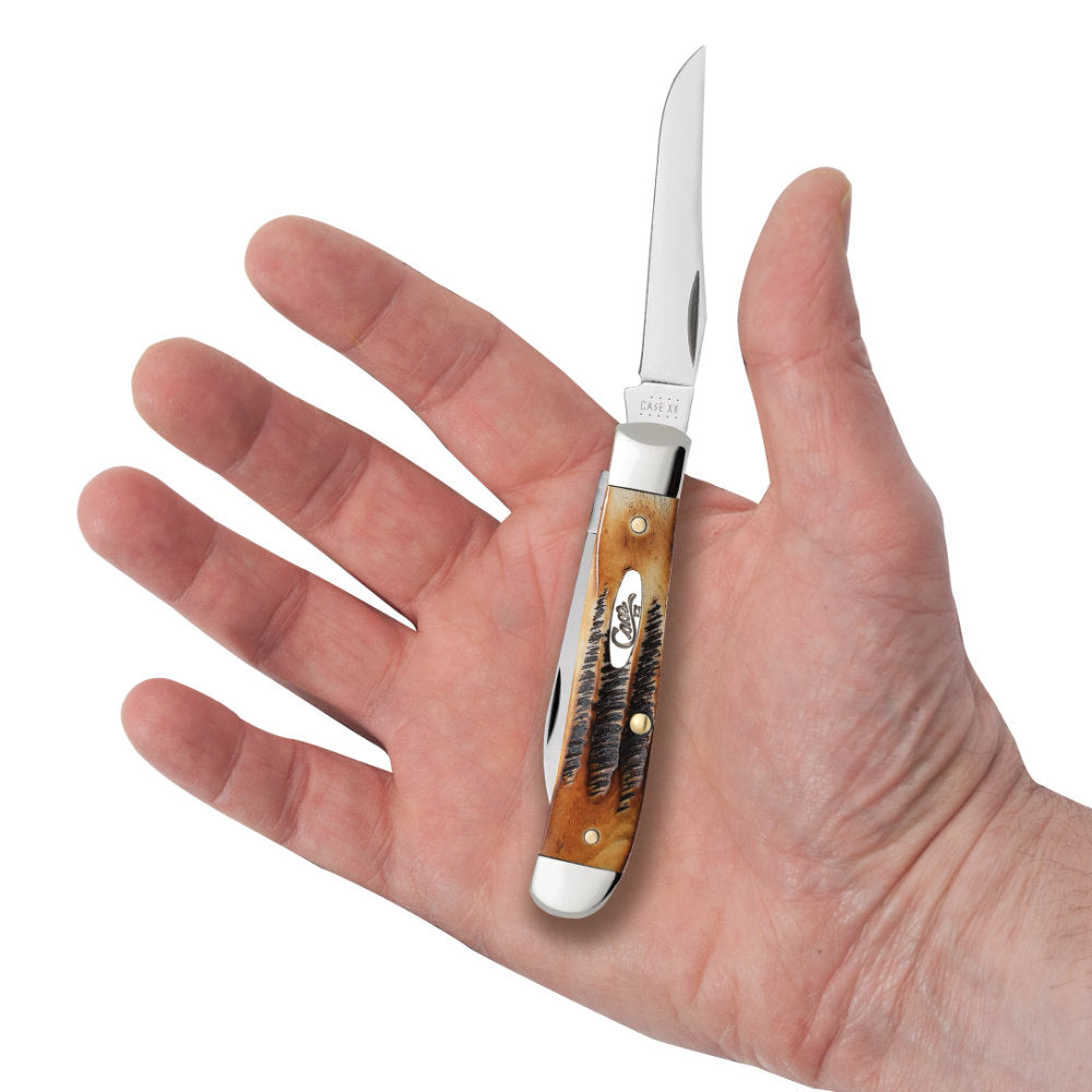 Case Mini Trapper 6.5 BoneStag Pocket Knife in Hand