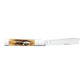 Case Razor 6.5 BoneStag 2024 Vault Pocket Knife with Razor Clip Blade