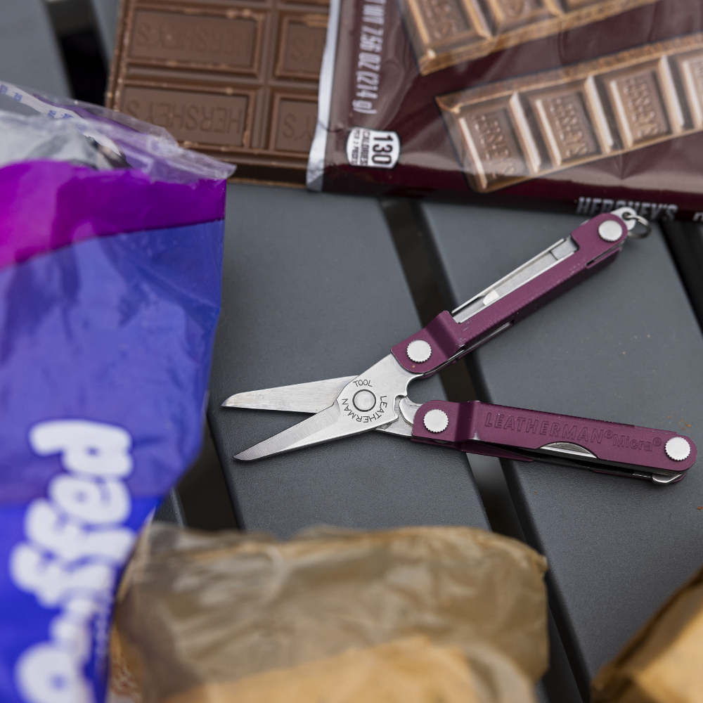 Leatherman Micra Keychain Multi tool at Swiss Knife Shop