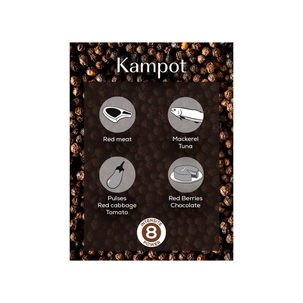 Peugeot Kampot Cambodian Black Pepper for Use with Meat, Fish, Vegetables and Red Berries