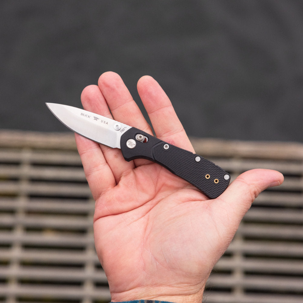 Buck 790 Mini Range Pro Lockblade Knife in Hand