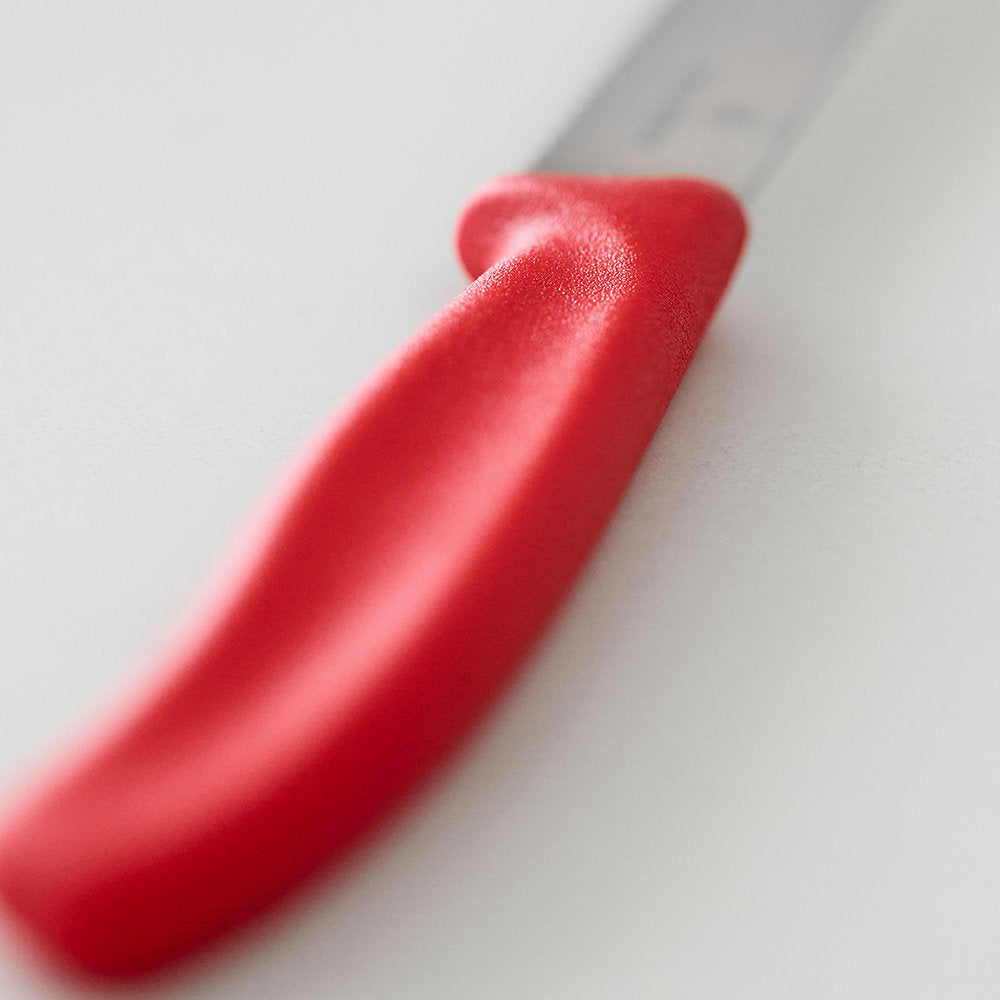 Victorinox Swiss Classic Paring Knife Handle Detail