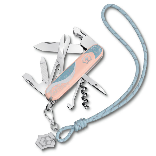 SA13909E221P2x1000-4_grande.