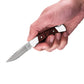 Buck 503 Prince Folding Knife in Hand