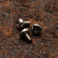 Screws for Daily Customs Labyrinth Rusty Titanium Plus Handles for 91.2 mm Swiss Army Knives