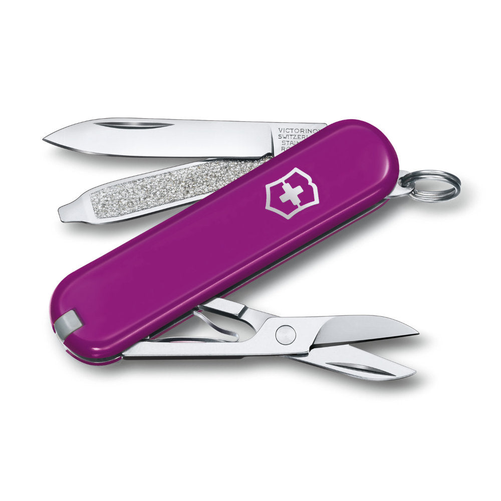 Tasty 4 Piece Stainless Steel Utility Knife Set, Multi-Color